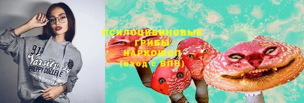 дмт Белокуриха