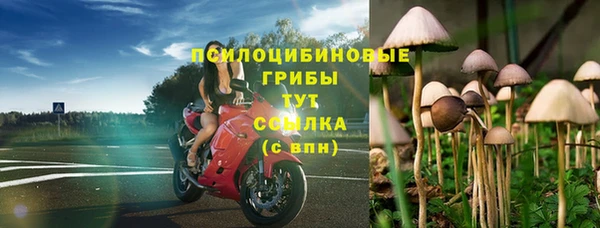 дмт Белокуриха