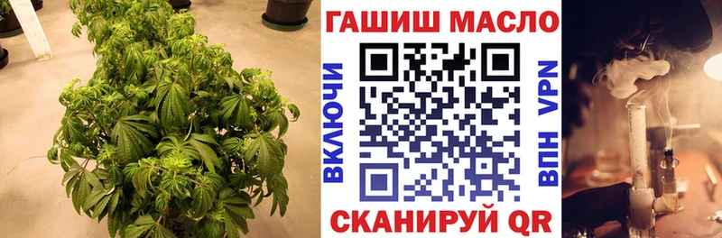 OMG   купить наркотики сайты  Невель  ТГК концентрат 